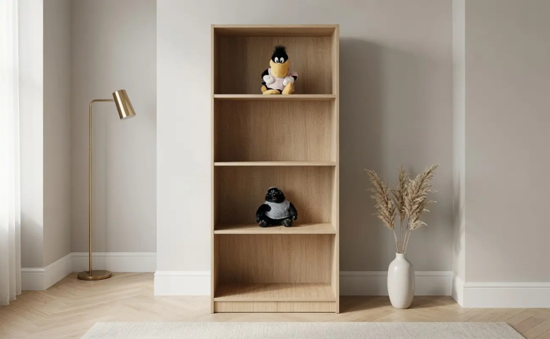 bookcase 4 