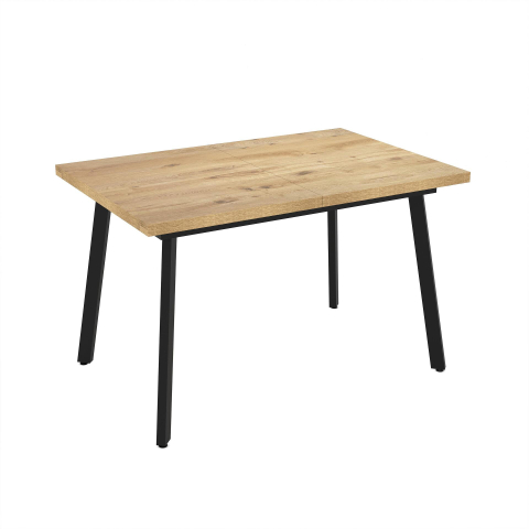 Dining Table Lini 