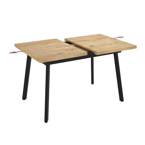 Dining Table Lini 